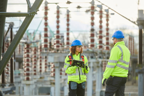 Best 24-Hour Electrician  in Roscoe, TX