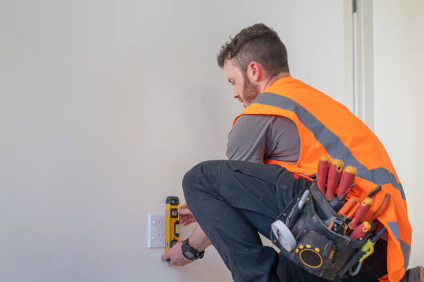 Best Affordable Electrician  in Roscoe, TX