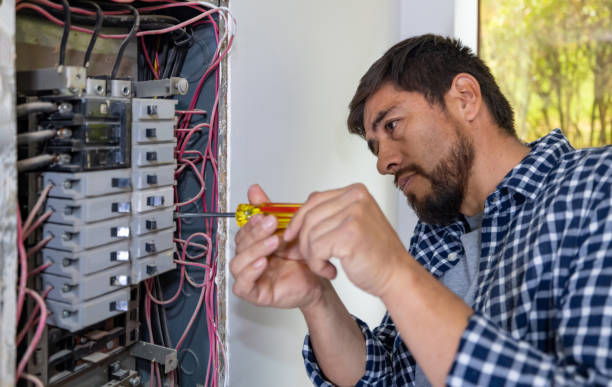 Best Electric Panel Repair  in Roscoe, TX